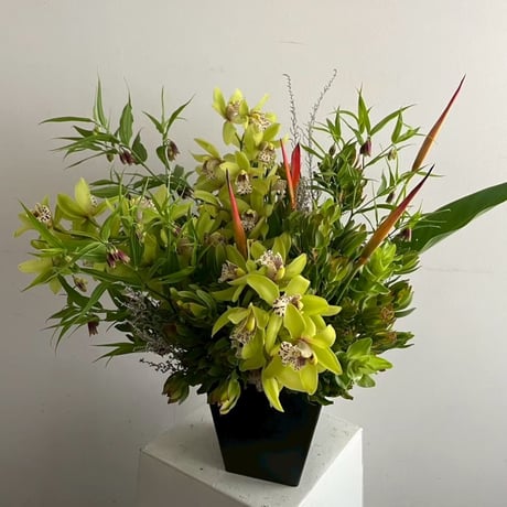 Fresh Arrangement