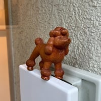 プドル
