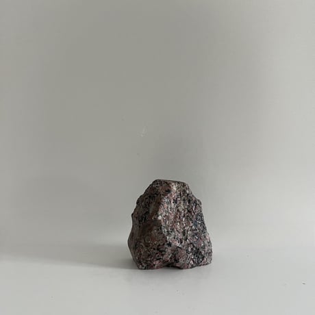 ウミユリFossil