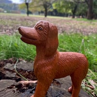 犬