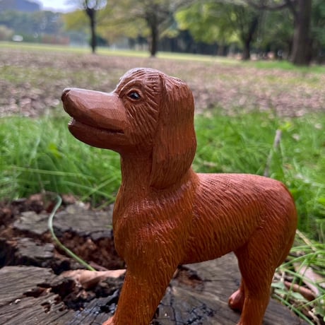 犬