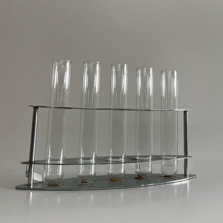 Test tube vase