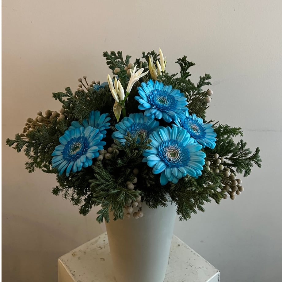 69203cf77c077d31cca76eb5