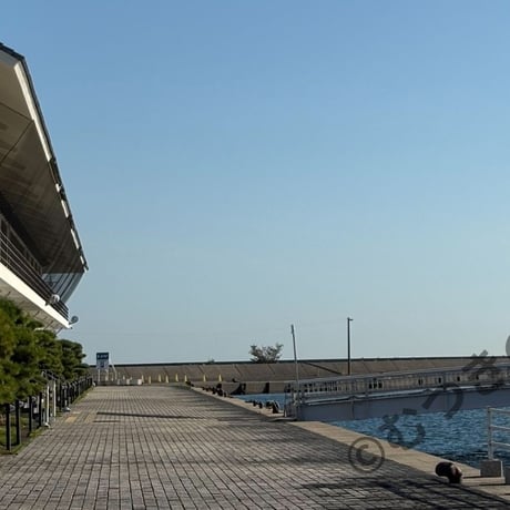 「ゲーム[ポートピア殺人事件]の現在」2025年10月