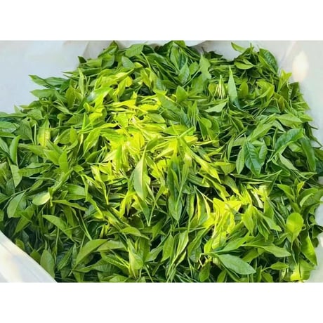 和束晒紅（紅茶）「やぶきた」　５０ｇ　袋入り
