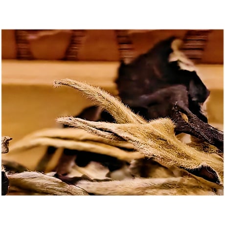 古樹一級白茶（散茶）　１５ｇ　袋入り
