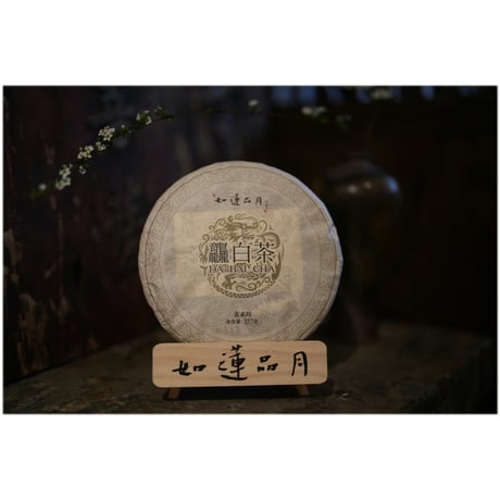 古樹白茶（茶餅）　１餅