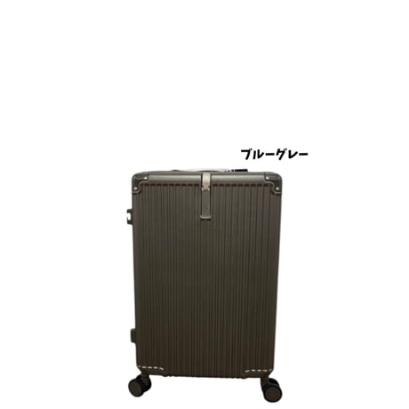 【軽量・多機能】スーツケース　19インチ　機内持ち込み対応　TSAロック　静音ダブルキャスター　5色展開