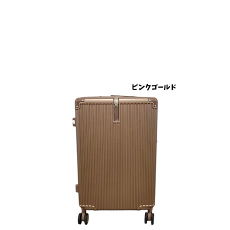【軽量・多機能】スーツケース　19インチ　機内持ち込み対応　TSAロック　静音ダブルキャスター　5色展開
