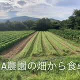 SORA農園の畑から食卓へ