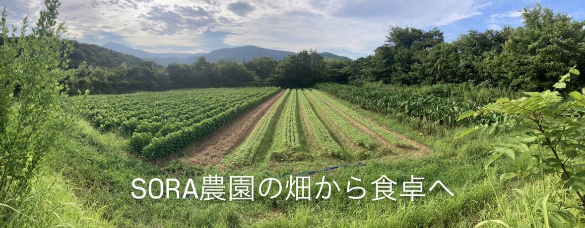 SORA農園の畑から食卓へ