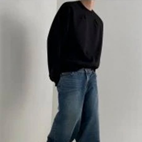 shoulder tuck volume sleeve sweatshirt /2color　VG1168