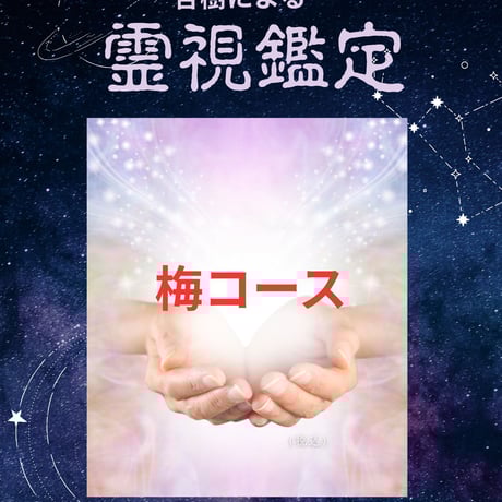 霊視鑑定➕浄霊⭐️鑑定書(お守り付き) 霊視の人気通販 | minne byGMOペパボ 国内最大級のハンドメイド