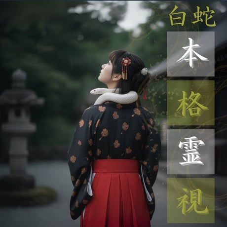 霊視鑑定➕浄霊⭐️鑑定書(お守り付き) 霊視 | STORES