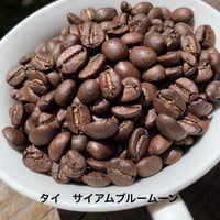 中煎り　タイ　サイアム　ブルームーン　　100ｇ