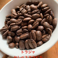 中煎り　インドネシア　トラジャ セレベス アラビカ　100ｇ