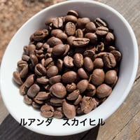 中煎り　ルワンダ スカイヒル 100g