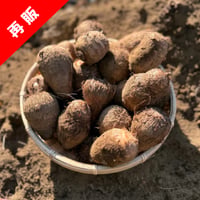 【再販】狭山産 さといも(土垂) 1.8kg