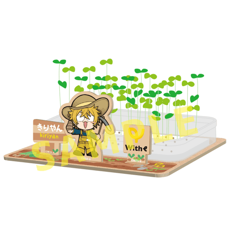 育てて食べられるスプラウト栽培キット
