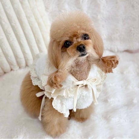 DOGSリボンファーケープ  DOGS Ribbon Fur Cape
