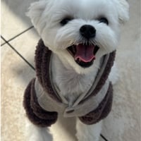 DOGSボアジャケット　DOGS Fleece Jacket