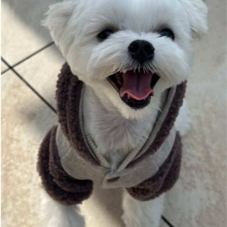 DOGSボアジャケット　DOGS Fleece Jacket