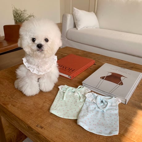 DOGS フラワーレース襟トップス　DOGS Flower Lace Collar Top