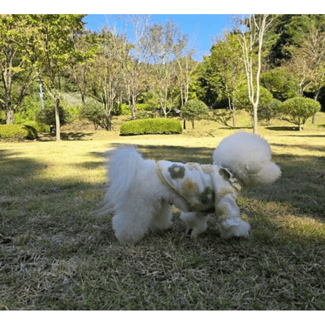 DOGSフラワーボアフリル　DOGS Floral Fleece Frill Top