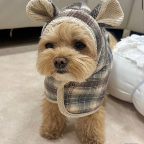 DOGSチェックポンチョ　DOGS Plaid Poncho