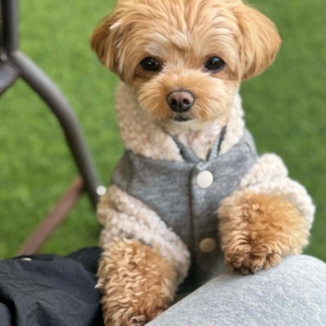 DOGSボアジャケット　DOGS Fleece Jacket