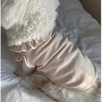 DOGSソフトフリル