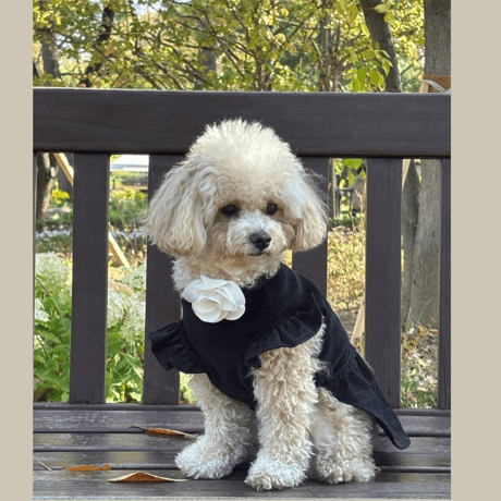 DOGSカメリアドレス　DOGS Camellia Bloom Dress