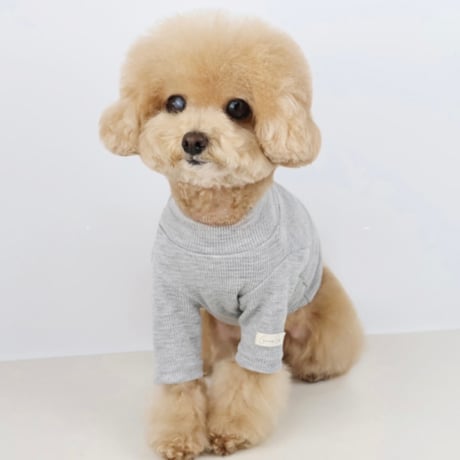 DOGSパステルディリートップス