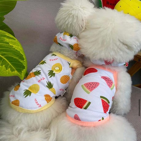 フルーツメッシュタンク   Fruit Mesh Tank Top