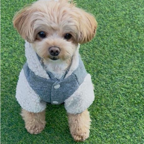 DOGSボアジャケット　DOGS Fleece Jacket