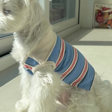 DOGS マルチボーダーT   DOGS Multi Border Tee