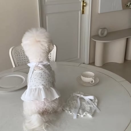 DOGSフローラルリボン　①ティーシャツ②ワンピース