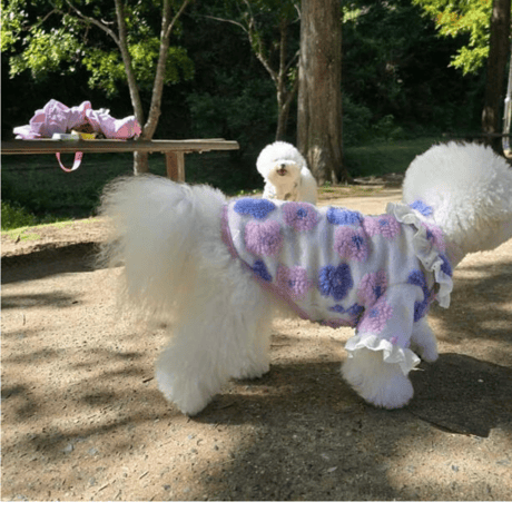 DOGSフラワーボアフリル　DOGS Floral Fleece Frill Top