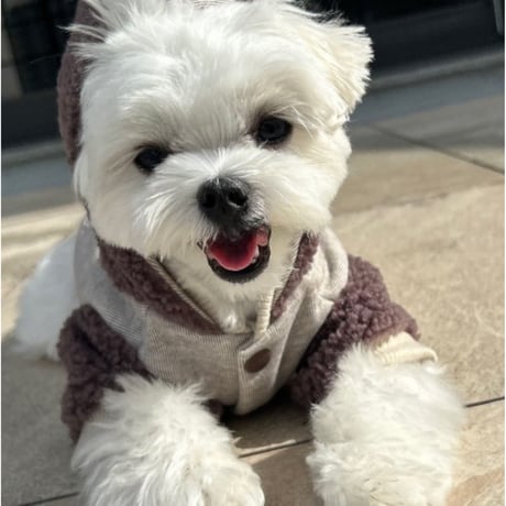 DOGSボアジャケット　DOGS Fleece Jacket