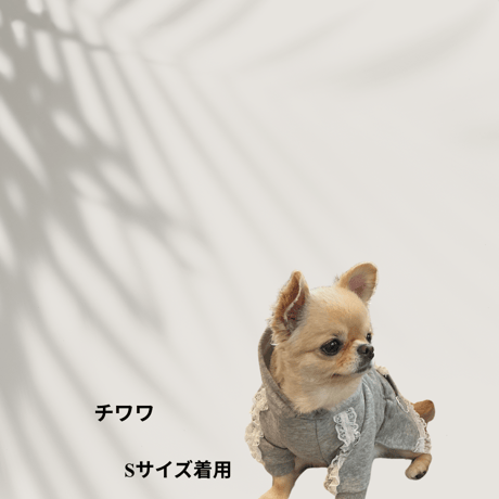 DOGSレースフーディー　DOGS Lace Hoodie