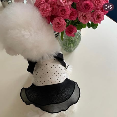 DOGSブラックリボンドット　①ティーシャツ②オールインワン③ワンピース