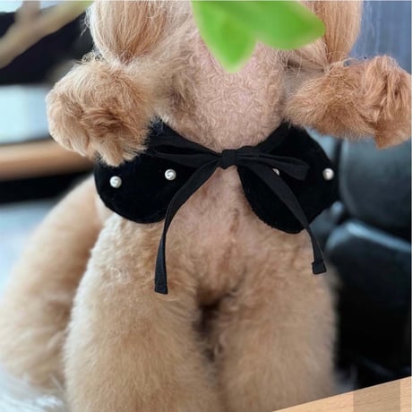 パール付け襟