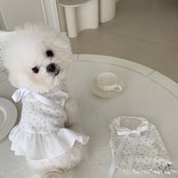 DOGSフローラルリボン　①ティーシャツ②ワンピース
