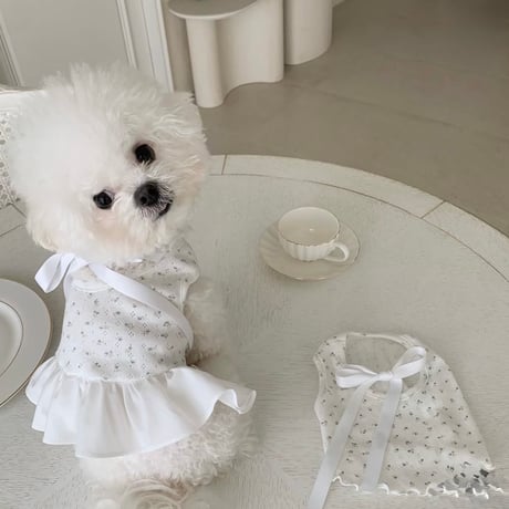 DOGSフローラルリボン　①ティーシャツ②ワンピース