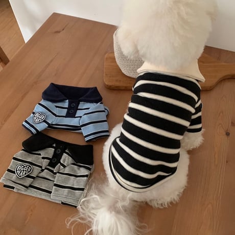 DOGS ラガーボーダートップス