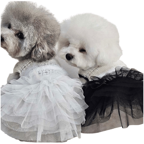 DOGSチュールフリルドレス　DOGS Tulle Frill Dress