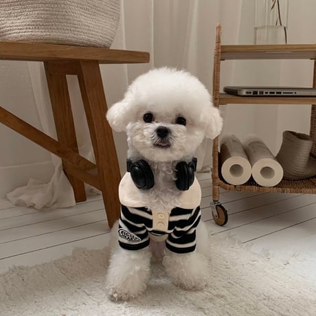 DOGS ラガーボーダートップス