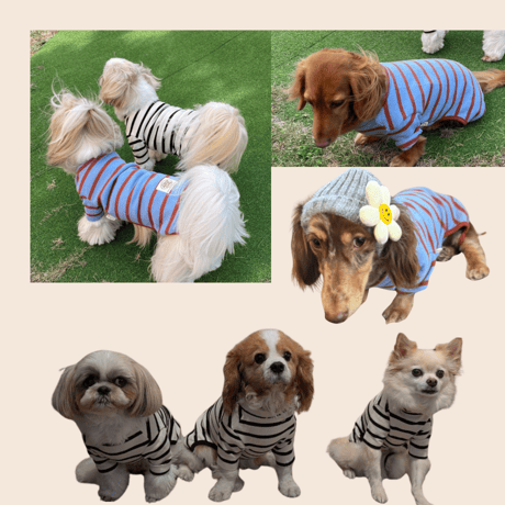 DOGSボーダーロンパース　DOGS Border Rompers