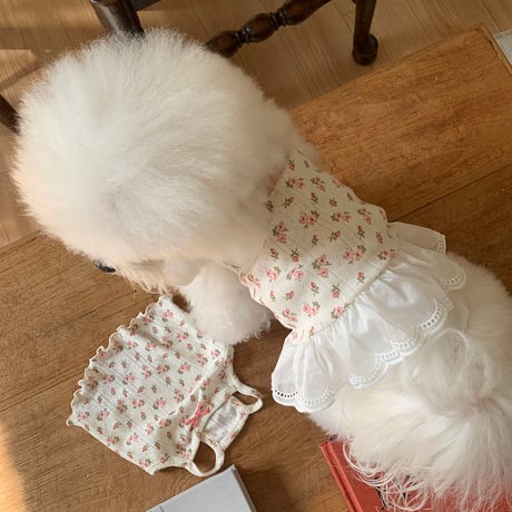 DOGS フラワーフリルワンピース　DOGS Floral Frill Dress
