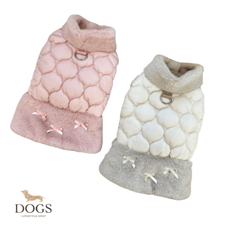 ビションフリーゼ | STORES